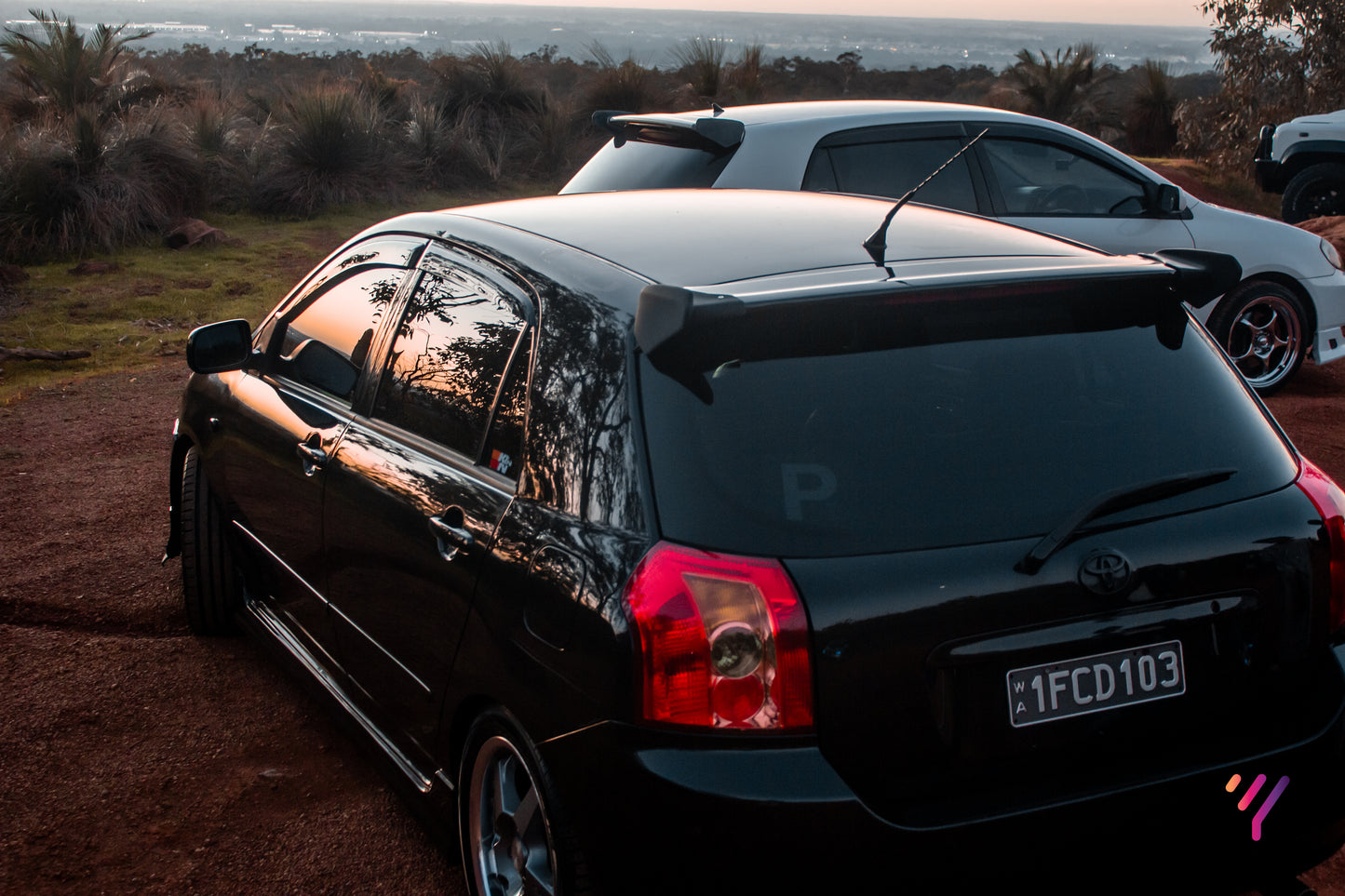 Wing Tips (Corolla Sportivo)